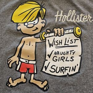 Hollister Mens Tshirt Wish List
